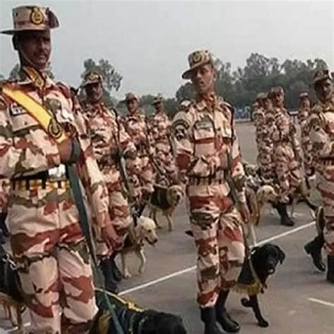 SUBHASH AND SONS - chandigarh order online a complete airforce uniforms ...