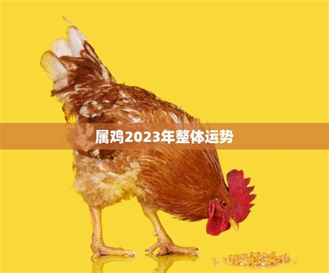 属鸡2023年整体运势(鸡年大展宏图财运亨通事业顺遂)