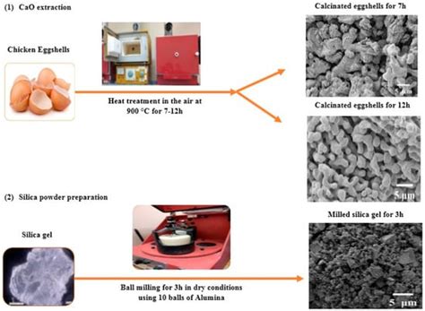 Structural and Morphological Investigation of Calcium-Silicate-Based ...