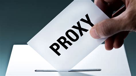 Proxy Voting System Examples 的图像结果