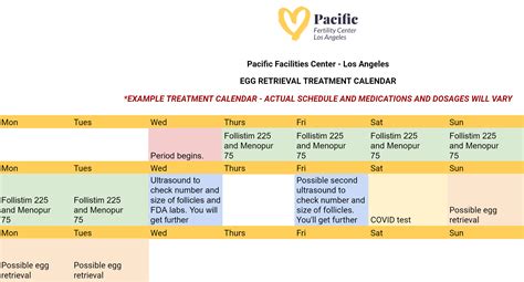 In Vitro Fertilization (IVF): The Ultimate Guide | PFCLA