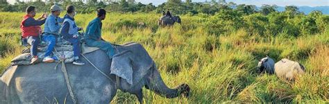 Why you should visit Bodoland and Manas National Park