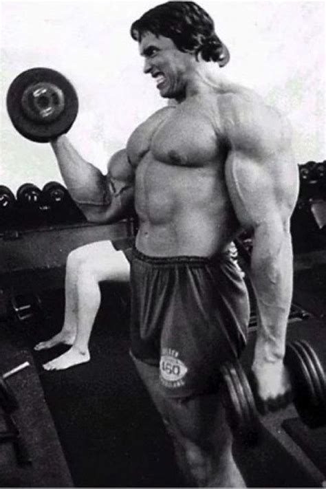 Arnold Schwarzenegger’s Bio, Age, Relationships, Latest Buzz, Photos ...