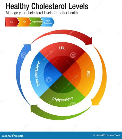 Total Blood Cholesterol HDL LDL Triglycerides Chart Stock Vector ...