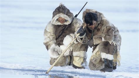 Arctic Life: Indigenous Peoples and Their Resiliency