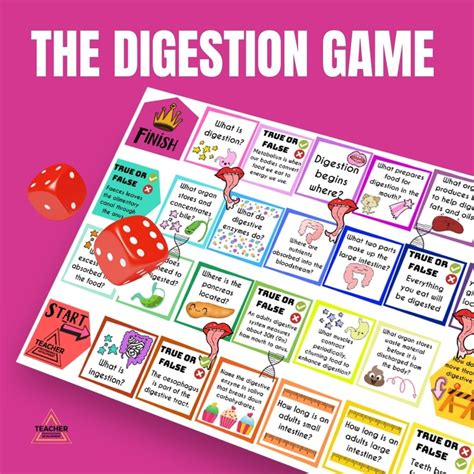 Digestion Game A3 - Digital - Teacher Professional Development