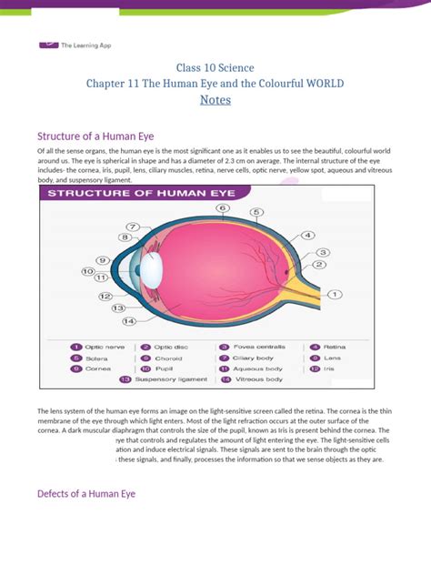 Image result for Class 10th Science Human Eye Chapter