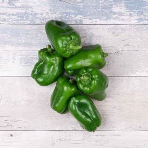 VASUDHA Organic Green Capsicum Seed Price in India - Buy VASUDHA ...
