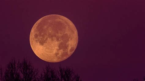 Under the Blood Moon: A Ritual for Release & Rebirth, 5 E Auglaize ...