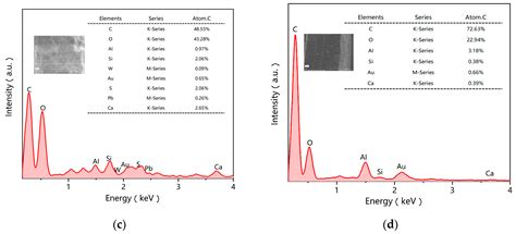 Study on the Surface Coating Techniques of Furniture in the Long’en ...