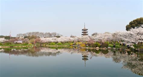 Things to do in Wuhan | Tourism - Cathay Pacific