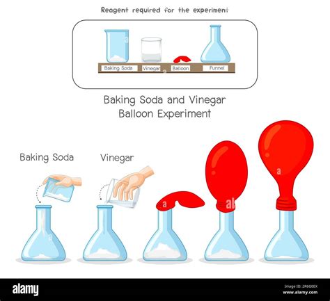 Baking Soda And Vinegar Balloon Flask