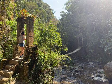 Cocora Trek Salento - All You Need to Know BEFORE You Go