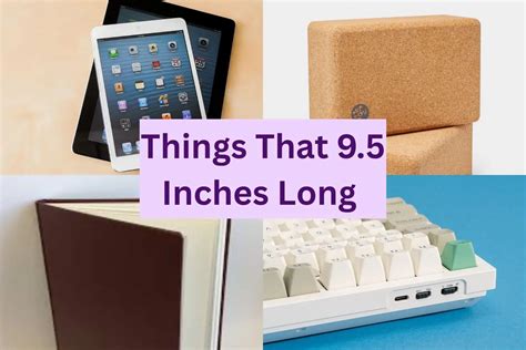 How Long Is 9.5 Inches - Compare Everyday Random Objects