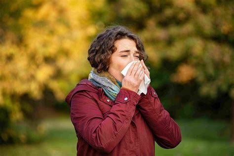 Everything You Need To Know About Fall Allergies - Edmund Fisher ...