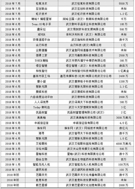 2018资本寒冬，这68家武汉创业公司还拿到了大额融资_兰丁