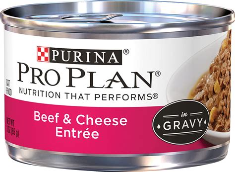 Best Cat Food Without Chicken | Pet Care Advisors