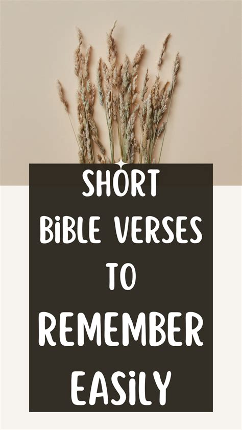 55 best short bible quotes for inspiration and encouragement – Artofit