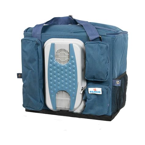 PARCO Thermoelectric 12V Portable Electric Car Cooler Bag for Travel ...