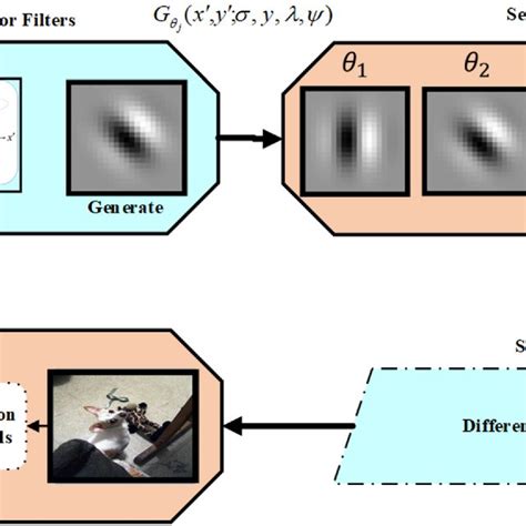 Algorithm in Research Paper Example 的图像结果