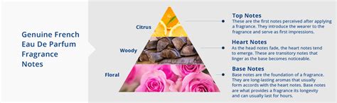 Buy Park Avenue Original Eau De Parfum Spray For Men, 50ml Online at ...