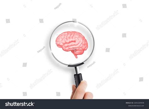 Glass Brain: Over 10,309 Royalty-Free Licensable Stock Photos | Shutterstock