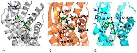 Molecular Modeling of µ Opioid Receptor Ligands with Various Functional ...