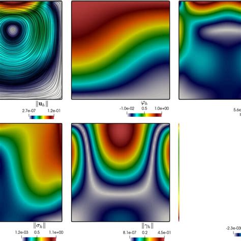 Image result for Line Integral Convolution Image