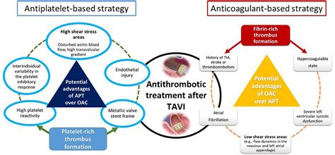 Frontiers | Stroke prevention during and after transcatheter aortic valve implantation: From ...