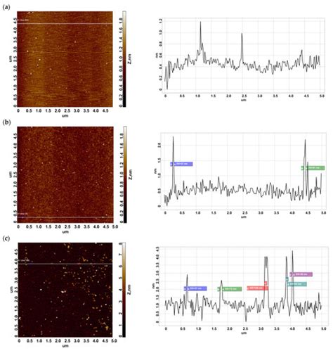 Mass Spectrometric Identification of BSA Covalently Captured onto a ...