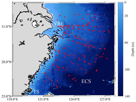 Remote Sensing Inversion of Chlorophyll-a in the East China Sea Based ...