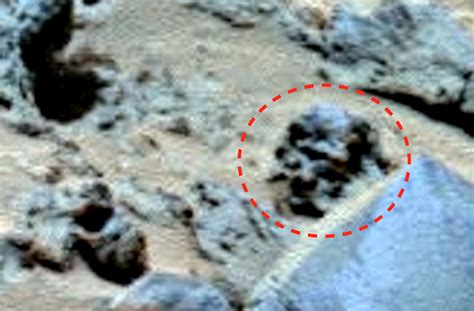 Image result for Alien Skull On Mars