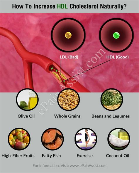 How To Increase HDL Cholesterol Naturally?
