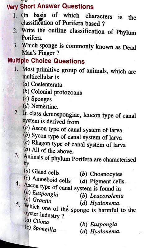 Phylum Questions