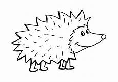 igel ausmalbilder zum drucken kostenlos kostenlose ausmalbilder und malvorlagen igel zum ausmalen igel ausmalbilder zum drucken kostenlos kostenlose ausmalbilder und malvorlagen igel zum ausmalen