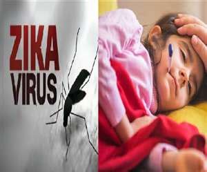 जीका वायरस को लेकर अब मध्य प्रदेश में भी अलर्ट, जानें- किस इस तरह फैलता ...