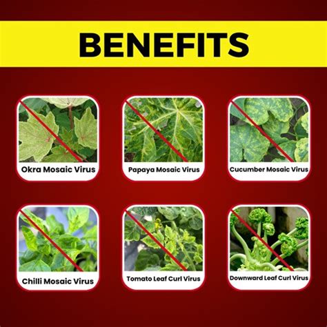 Katyayani AntiVirus Organic Virucide Broad Spectrum Plant Protection