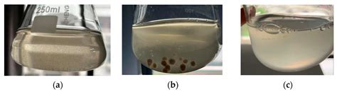 Isolation and Identification of a Carbon-Fixing Bacteria Strain and Its ...