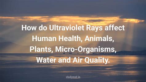 Effects Of Air Pollution On Plants Animals And Humans