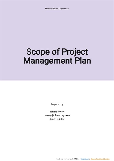 Project Management Plan Example 的图像结果