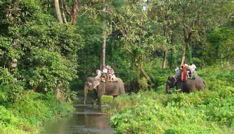10 Must Visit Places in Mashobra - lifeberrys.com