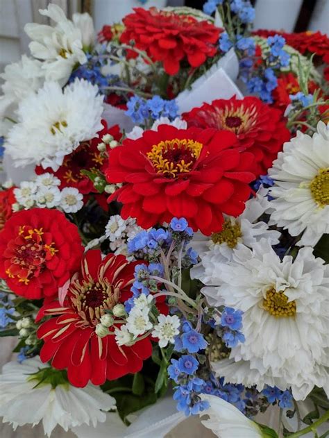 Cedar House Farms | Local Flowers