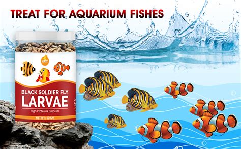 Boltz Black Soldier Fly Larvae Dried All Life Stages Fish Food Treat ...
