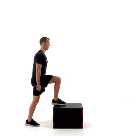Exercises - Trainwell
