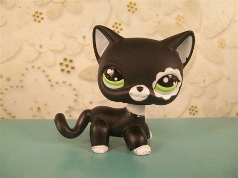 Cat Littlest Pet Shop Rare at John Vazquez blog