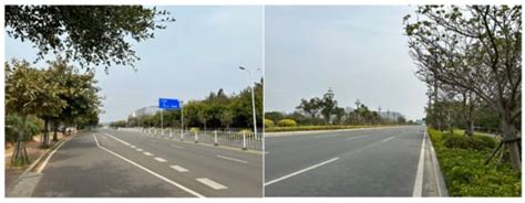 A Study on Street Tree Planting Strategy in Pingtan Island Based on ...