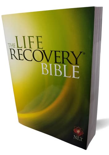Buy NLT Bibles Online India at Best Price – www.ashabooks.com