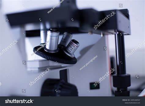 Fluorescence Microscope 的图像结果