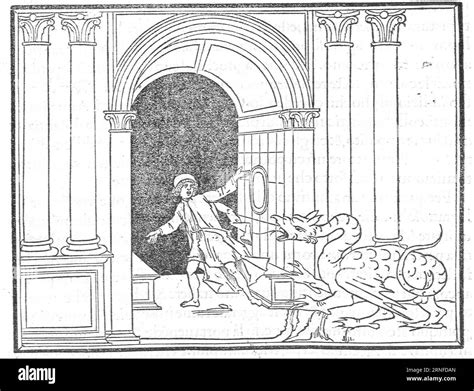 Poliphili