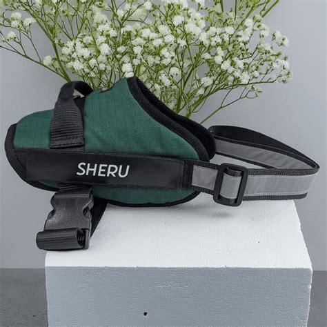 Unique Pet Supplies | Customized Dog Accessories - Thunder Tails